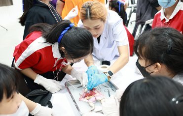 Science Math Technology Program (SMT)